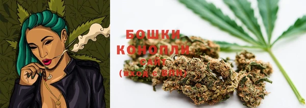 мдпв Мегион