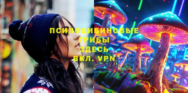 синтетический гашиш Медвежьегорск