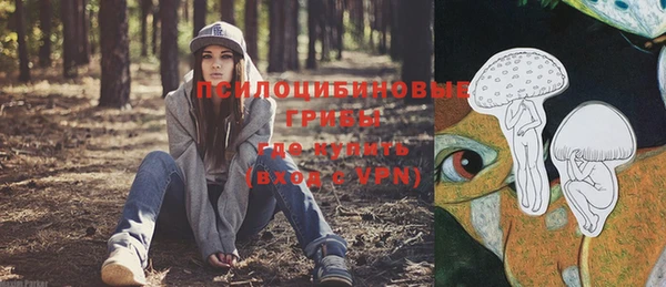 синтетический гашиш Медвежьегорск